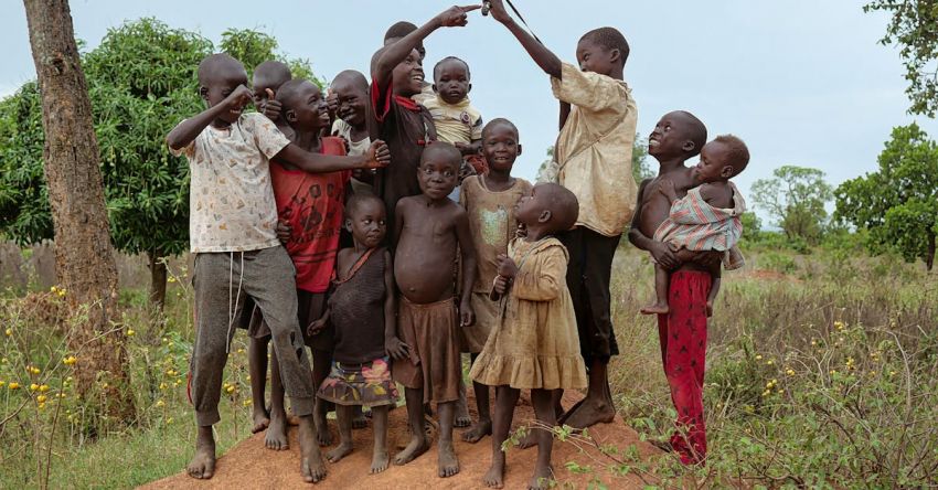 Family Trees - Slingshot