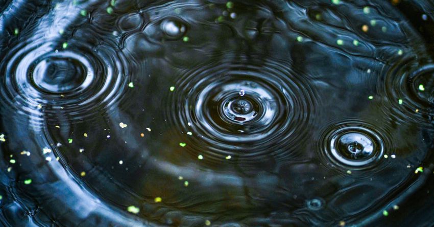 Quilting Circles - A close up of water droplets in a dark blue background